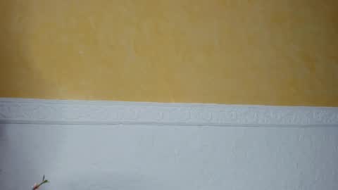 Snapshot of prettypervyx chatting on February 9, 2025, 9:05 am Laura Onlyfans 40OFF online show from February 9, 2025, 9:05 am