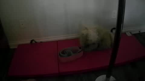 princesskimami online show from October 25, 2025, 12:40 am