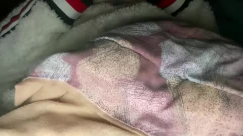 Snapshot of princessoftenis44 chatting on March 6, 2025, 7:14 am princessoftenis44 online show from March 6, 2025, 7:14 am