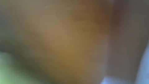 Princess online show from November 17, 2025, 11:16 am