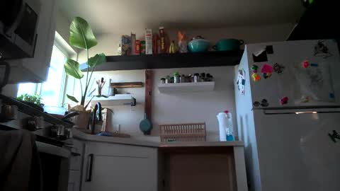 Snapshot of properfuct chatting on November 3, 2025, 8:43 pm Properfuct online show from November 3, 2025, 8:43 pm