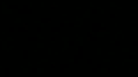 Snapshot of pt5177 chatting on December 31, 2024, 4:38 am runnerbod55 online show from December 31, 2024, 4:38 am