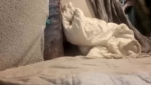 Snapshot of puffingoodtime8345 chatting on September 20, 2025, 4:57 am puffingoodtime8345 online show from September 20, 2025, 4:57 am