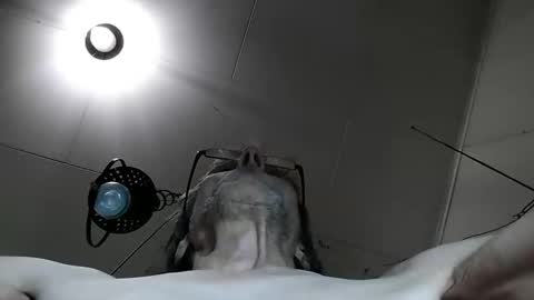 Snapshot of pulepower chatting on January 25, 2025, 12:16 pm pulepower online show from January 25, 2025, 12:16 pm