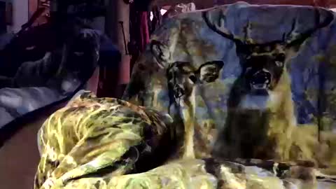 pumpslurrys online show from October 12, 2025, 11:26 pm