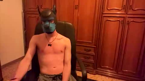 Snapshot of pup_toby chatting on November 3, 2025, 10:32 pm Toby online show from November 3, 2025, 10:32 pm