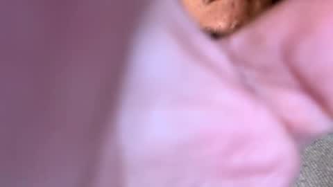 Snapshot of pussyeats1993 chatting on February 18, 2025, 9:42 pm pussyeats1993 online show from February 18, 2025, 9:42 pm