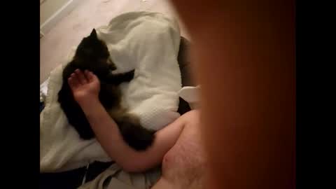 Snapshot of pussyisthreapy chatting on December 18, 2025, 6:19 am Sexthreeapy online show from December 18, 2025, 6:19 am