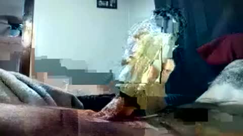 Snapshot of pussyluver420kik909587 chatting on October 1, 2025, 8:15 pm Pussyluver420 online show from October 1, 2025, 8:15 pm