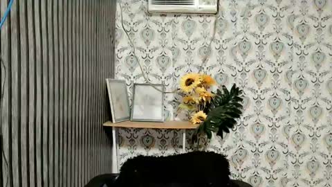 JOY online show from February 20, 2025, 6:02 pm