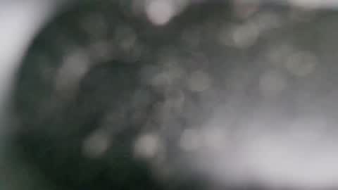 Dmitry online show from January 21, 2025, 7:06 pm