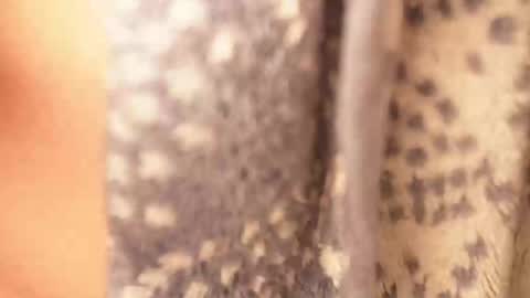 Snapshot of ramichick chatting on February 17, 2025, 4:42 am Rami online show from February 17, 2025, 4:42 am