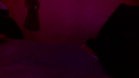 Snapshot of randobad12 chatting on January 18, 2025, 10:06 pm randobad12 online show from January 18, 2025, 10:06 pm