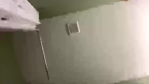 Ravynn 3 online show from December 31, 2024, 4:38 am