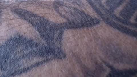 realrubpirate online show from January 18, 2025, 9:02 am