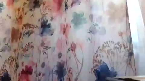 Snapshot of recka810 chatting on February 20, 2025, 9:42 pm recka810 online show from February 20, 2025, 9:42 pm