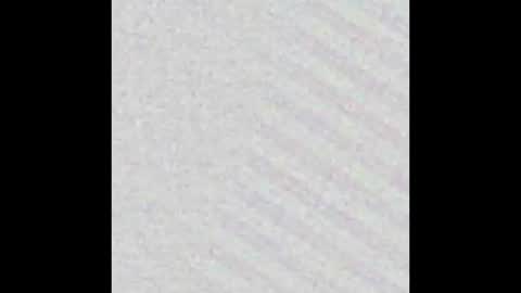 Kevin online show from December 19, 2024, 8:23 am