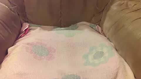 Mark online show from September 17, 2025, 5:47 pm