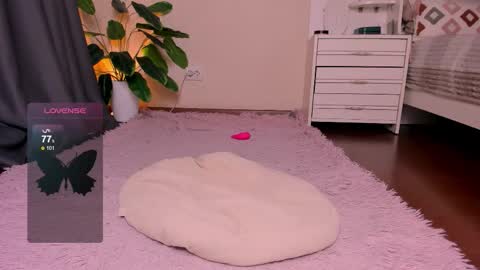 Rein online show from November 28, 2025, 2:53 pm