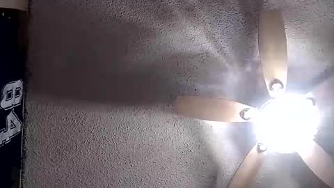 Snapshot of rg120 chatting on December 2, 2025, 12:43 pm rg120 online show from December 2, 2025, 12:43 pm