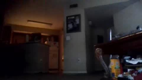 ribault23 online show from January 11, 2025, 1:01 pm