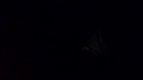 Babu online show from October 12, 2025, 3:27 am