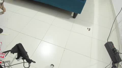 Snapshot of rihanna_hotx chatting on November 12, 2025, 2:56 am Rihanna hotx online show from November 12, 2025, 2:56 am