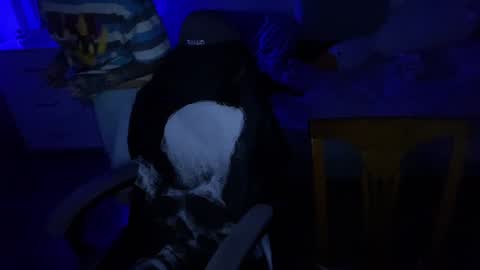   DianaBrite            fansl y online show from December 17, 2024, 7:48 pm