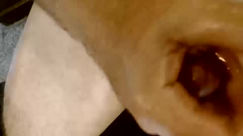 Snapshot of risingphoenix23 chatting on October 13, 2025, 9:26 pm risingphoenix23 online show from October 13, 2025, 9:26 pm