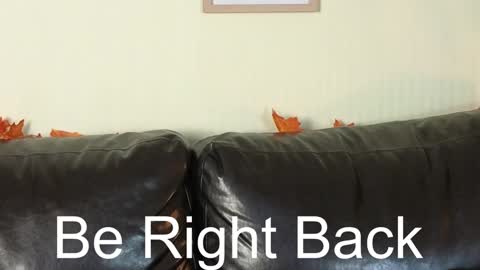 Alice online show from December 13, 2024, 11:02 am