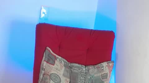 Snapshot of robert_leroy chatting on February 1, 2025, 10:13 pm Stiven - online show from February 1, 2025, 10:13 pm