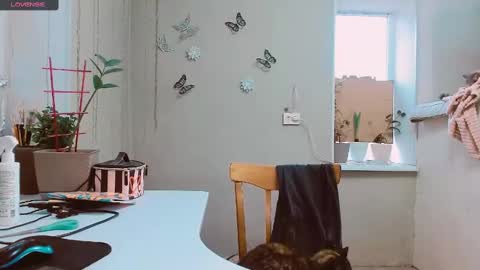 Snapshot of rosa843850 chatting on February 2, 2025, 2:13 pm rosa843850 online show from February 2, 2025, 2:13 pm