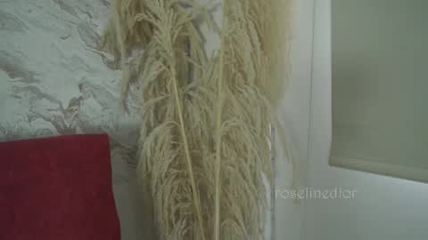 Lyla OF roselinedior online show from December 1, 2025, 1:38 pm