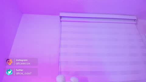 Snapshot of rosse_amyy chatting on February 10, 2025, 11:04 am online show from February 10, 2025, 11:04 am