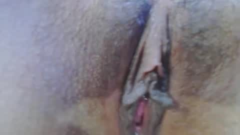 Snapshot of rousse_kitty69 chatting on December 23, 2024, 4:12 am Daniela Ferreira online show from December 23, 2024, 4:12 am