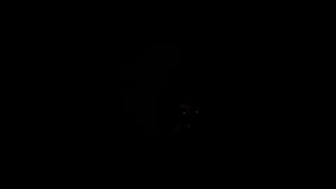 royce888 online show from November 16, 2025, 5:24 am