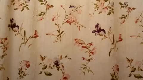 Snapshot of rustyx22 chatting on September 17, 2025, 7:48 pm Rusty online show from September 17, 2025, 7:48 pm