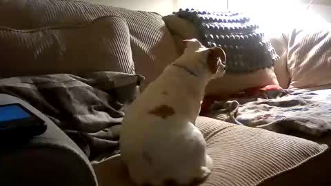 Snapshot of rustyx22 chatting on October 18, 2025, 2:25 am Rusty online show from October 18, 2025, 2:25 am