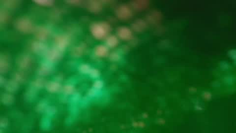 s_sofia_ online show from January 25, 2025, 1:21 am