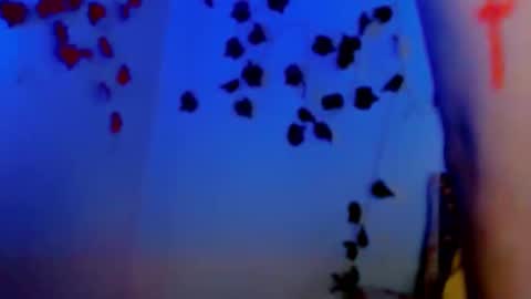 SABRI online show from March 11, 2025, 12:39 pm