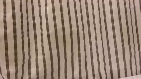 Snapshot of sacalaschichiss chatting on October 29, 2025, 1:13 pm Dee online show from October 29, 2025, 1:13 pm