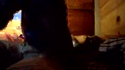 Snapshot of salido543 chatting on December 14, 2025, 10:09 am Penoso online show from December 14, 2025, 10:09 am