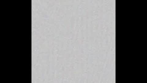 salo online show from December 15, 2025, 12:04 am