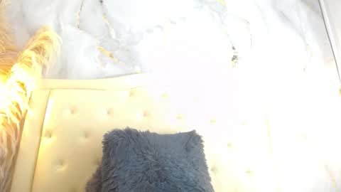 Snapshot of samy_moore14 chatting on December 13, 2025, 7:53 pm S A M A N T H A online show from December 13, 2025, 7:53 pm