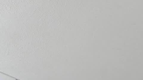 Samy  online show from October 19, 2025, 11:00 am