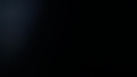 Snapshot of sara_winehouse1 chatting on January 9, 2025, 2:29 pm 1 online show from January 9, 2025, 2:29 pm