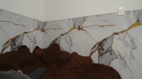 sara and thomas online show from November 26, 2025, 12:00 am