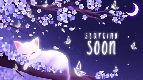 Snapshot of sassykittyn chatting on November 3, 2025, 6:03 am Sassy Sami Kittyn online show from November 3, 2025, 6:03 am