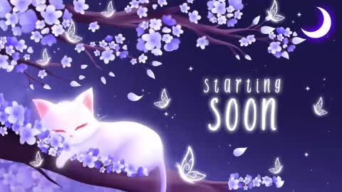 Snapshot of sassykittyn chatting on December 2, 2025, 6:08 am Sassy Sami Kittyn online show from December 2, 2025, 6:08 am