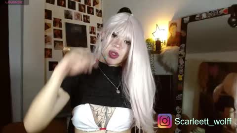 scarlet wolfindependient model online show from November 28, 2025, 11:35 am